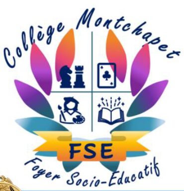 logo FSE.JPG